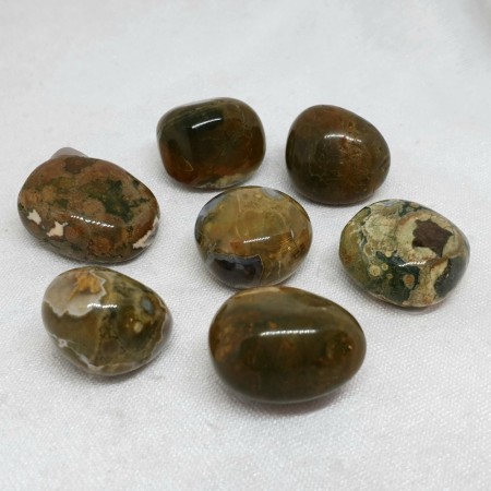 Jaspis regnskog ryolitt