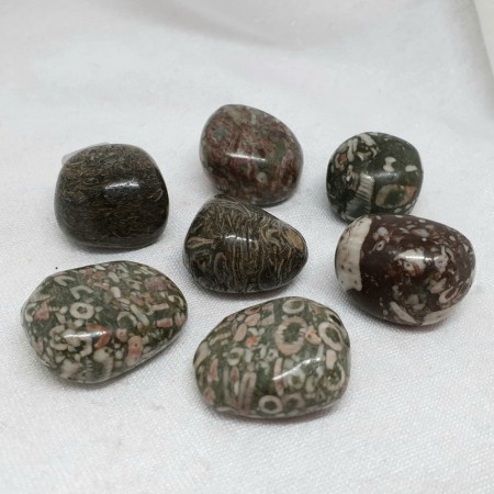 Jaspis fossil